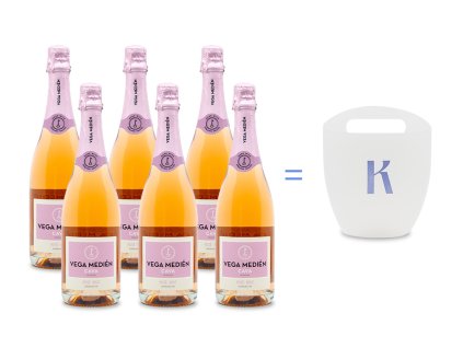 KW produkt Vega Medien Rose Kybl 05 2025 v01