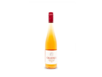 KW Vina 01 2024 Varka03 0014 Merlot Rosé, Oulehla (1)