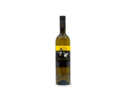 KW Vina 02 2024 Varka04 0035 Pinot Grigio, Borgo delle Oche (4)