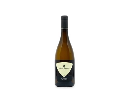 Friulano DOC Isonzo del Friuli