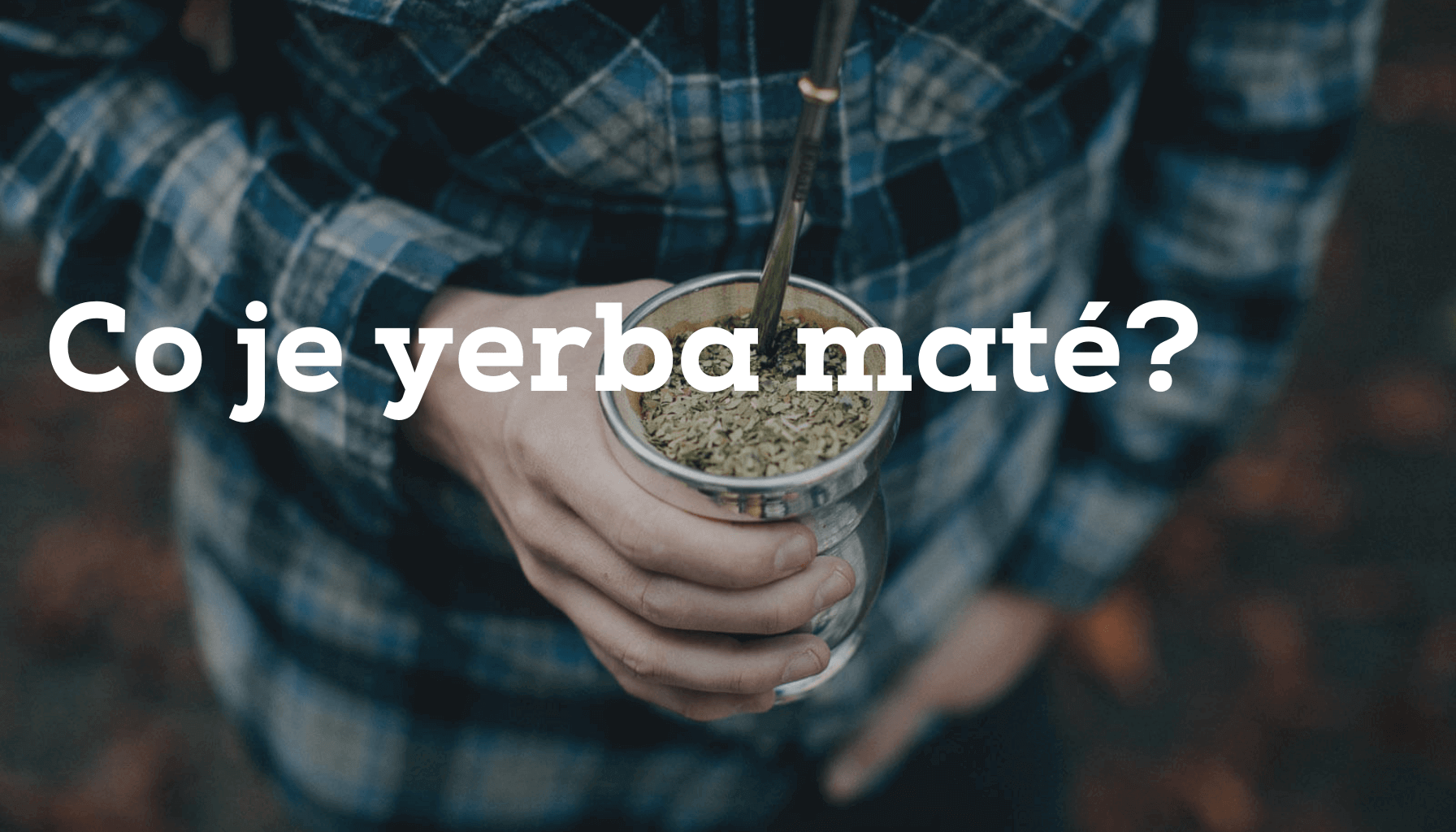 Co je Yerba maté? Objevte přírodní poklad z Jižní Ameriky