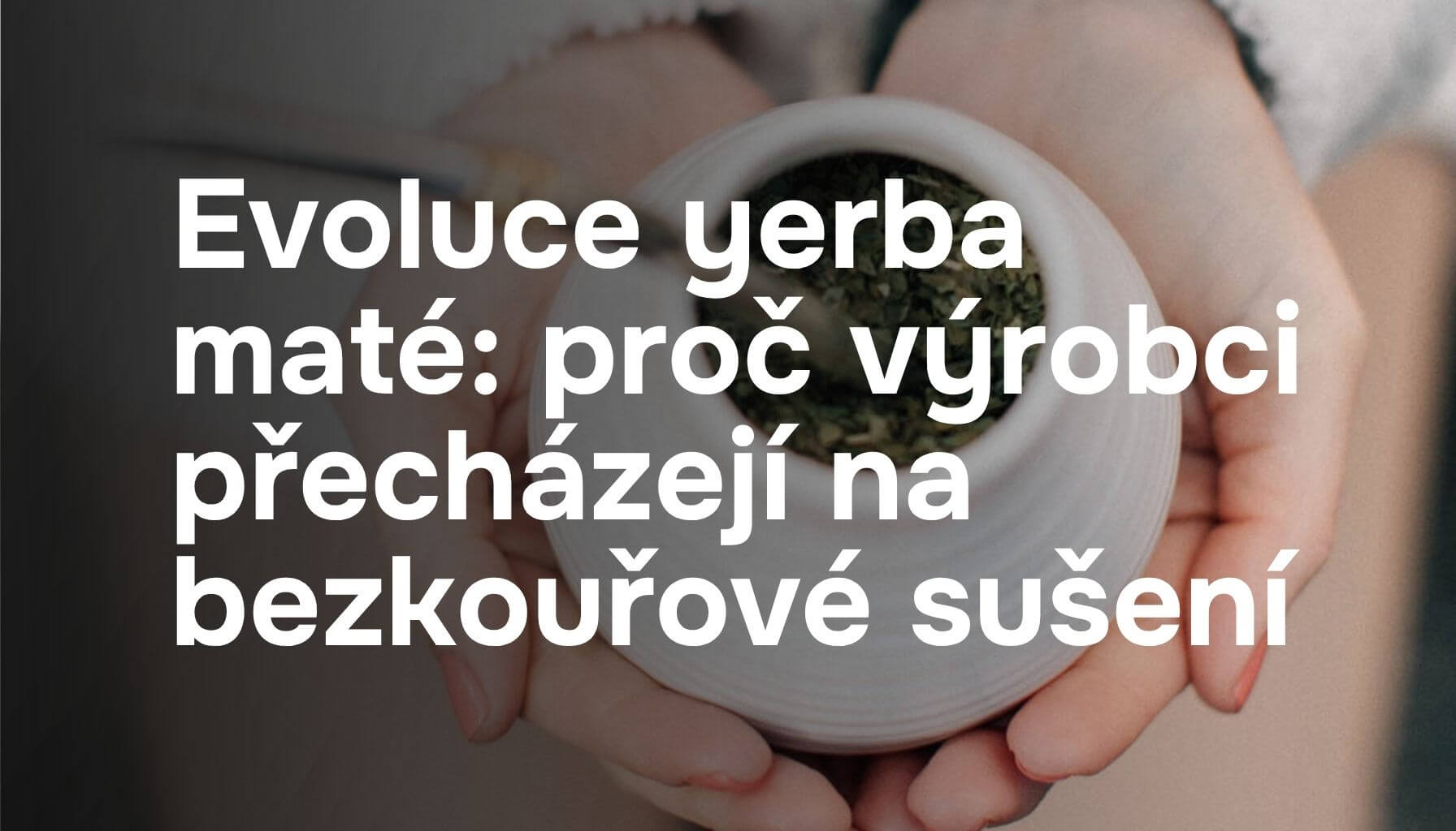 Evoluce yerba maté: proč výrobci přecházejí na bezkouřové sušení
