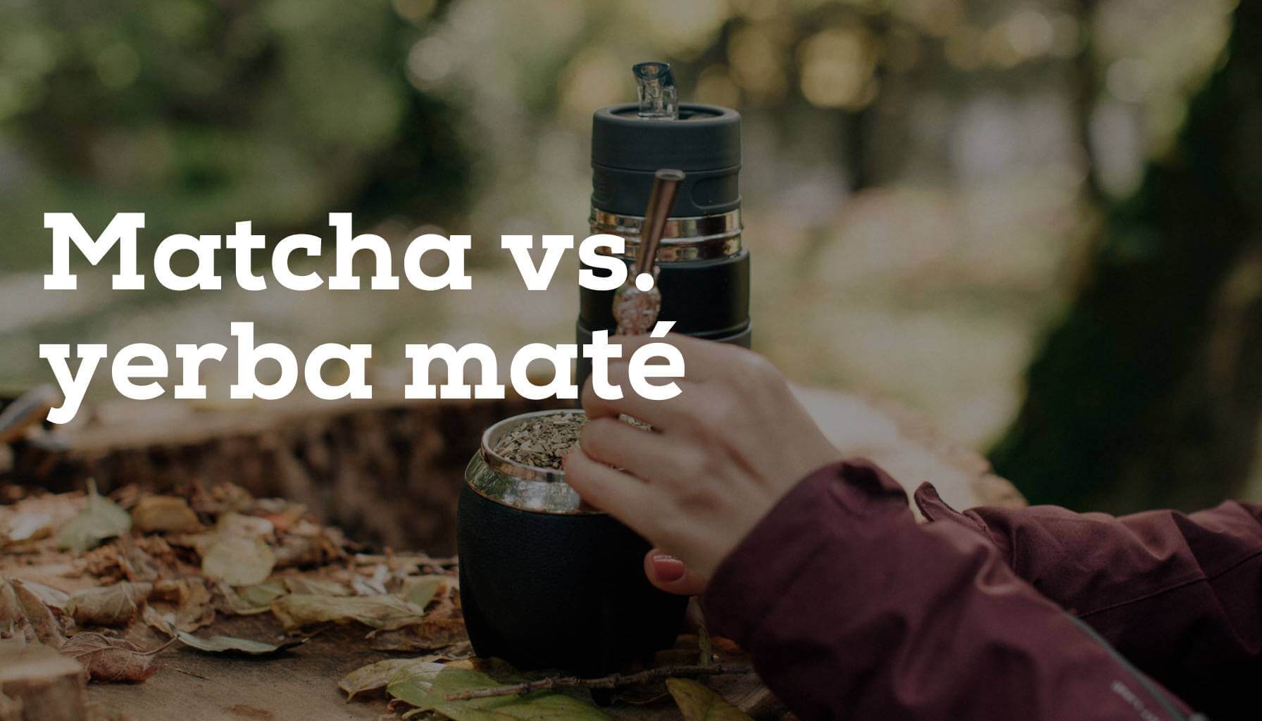 Matcha vs. yerba maté: Který nápoj je lepší?