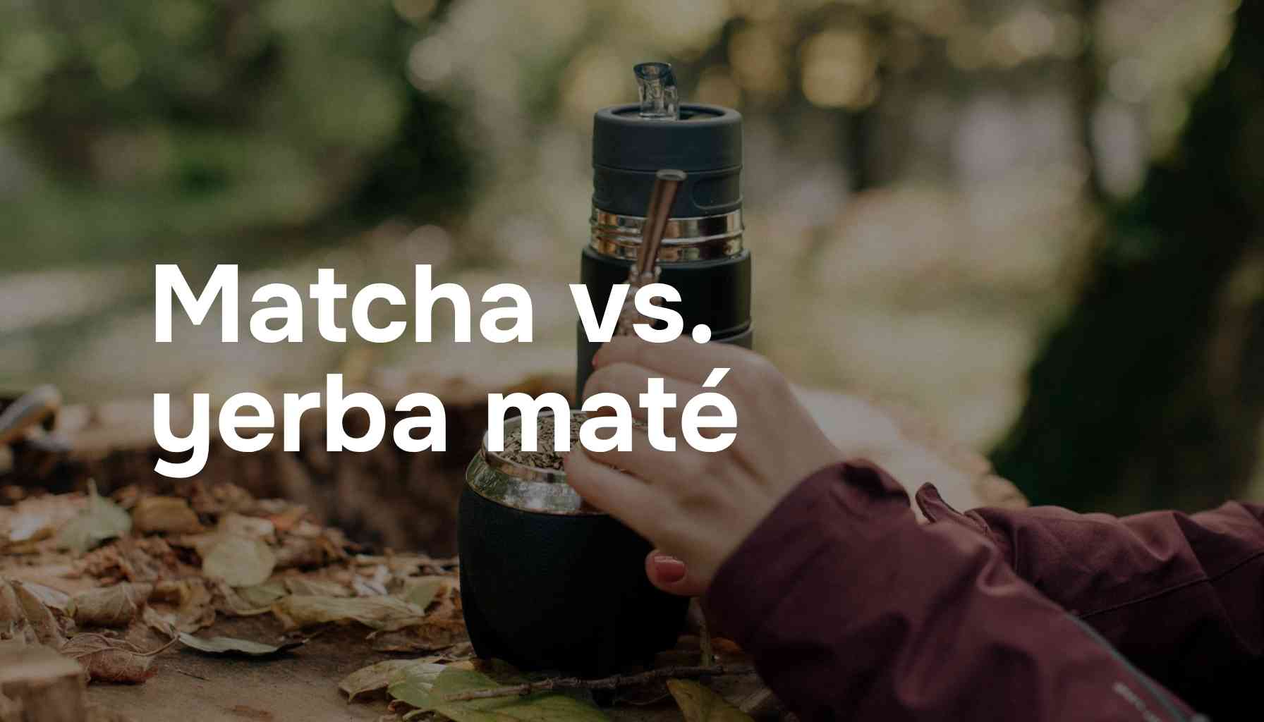 Matcha vs. yerba maté: Který nápoj je lepší?