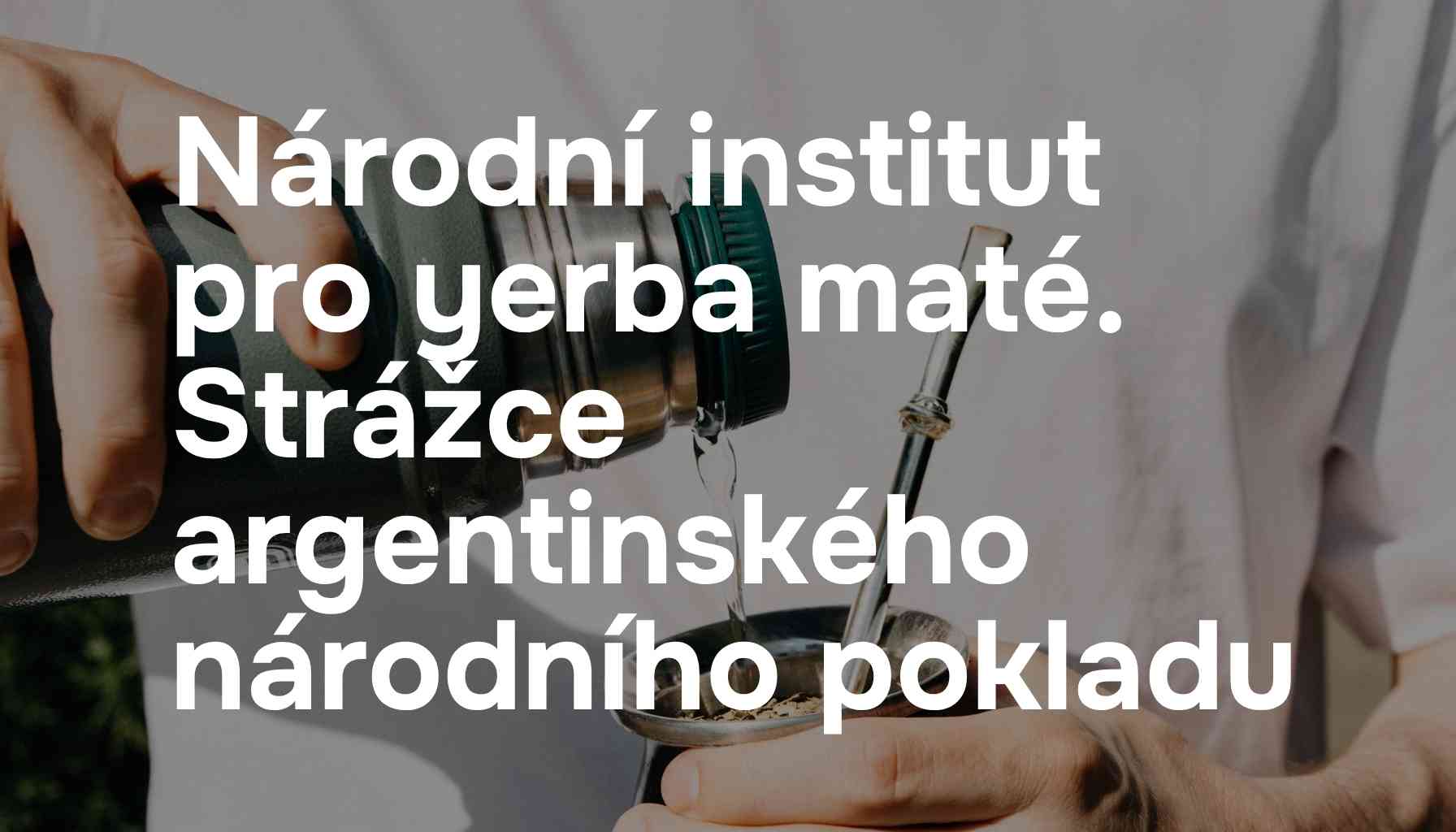 Národní institut pro yerba maté - strážce argentinského národního pokladu
