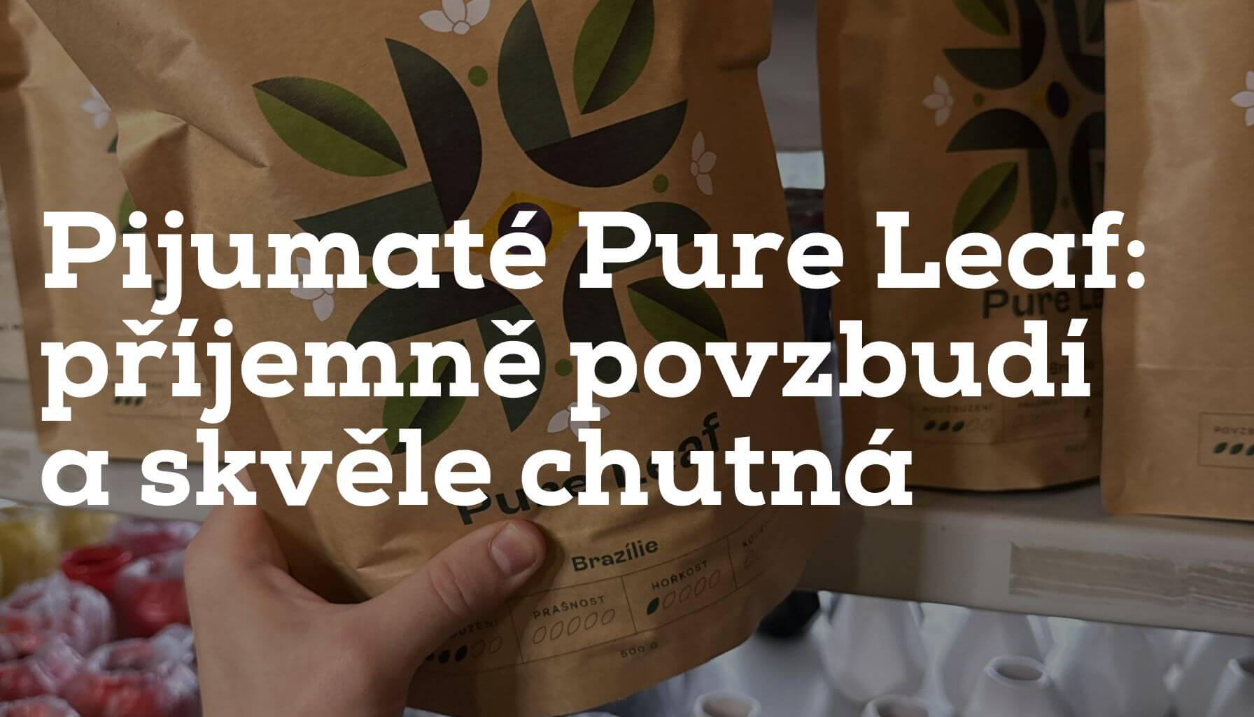 Pijumaté Pure Leaf: yerba maté, co příjemně povzbudí a skvěle chutná