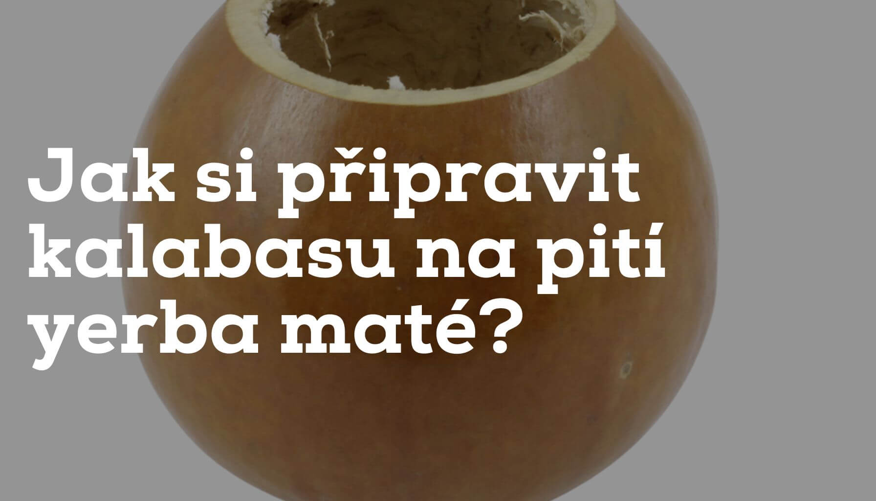 Jak si připravit kalabasu na pití yerba maté?