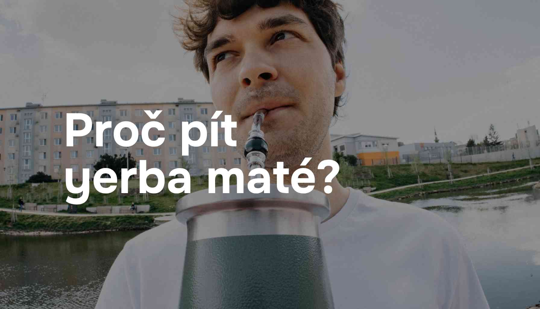 Proč pít yerba maté?
