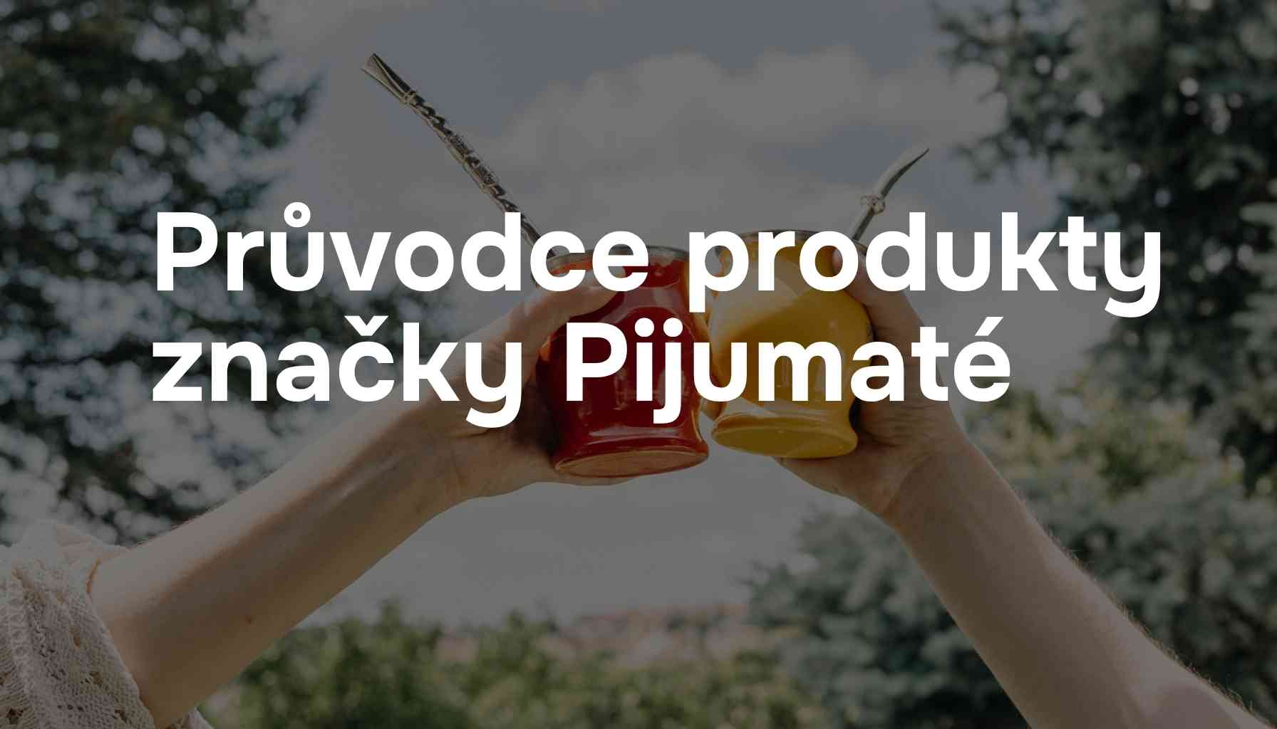 Průvodce produkty značky Pijumaté: Jak si vybrat to pravé yerba maté?