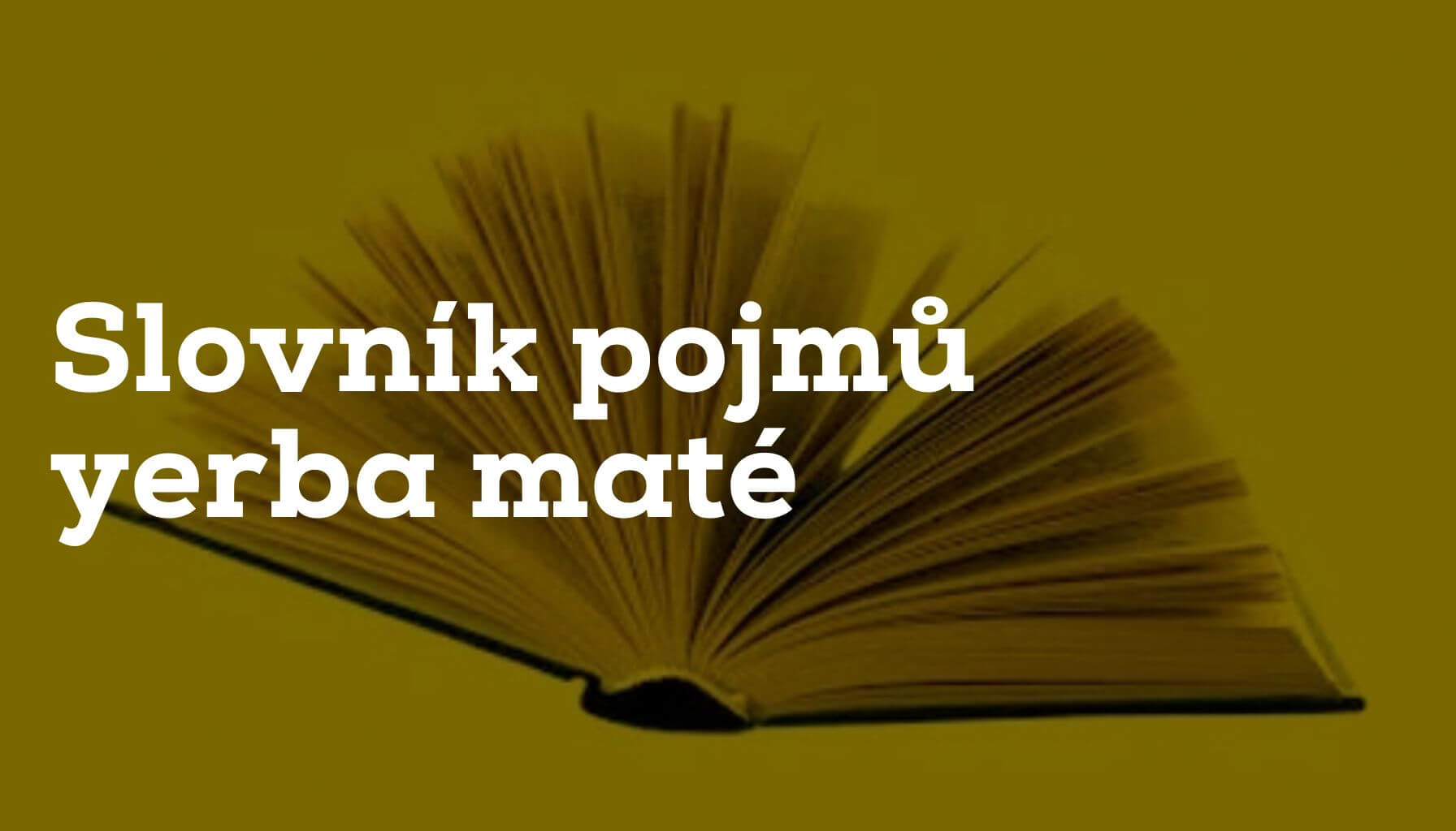 Slovník pojmů yerba maté