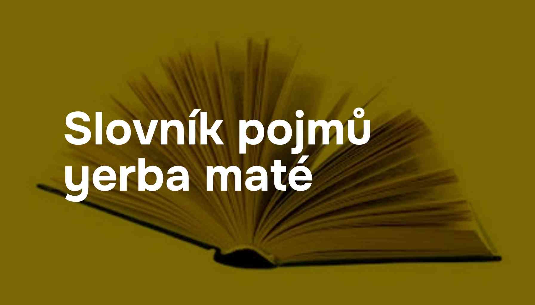Slovník pojmů yerba maté