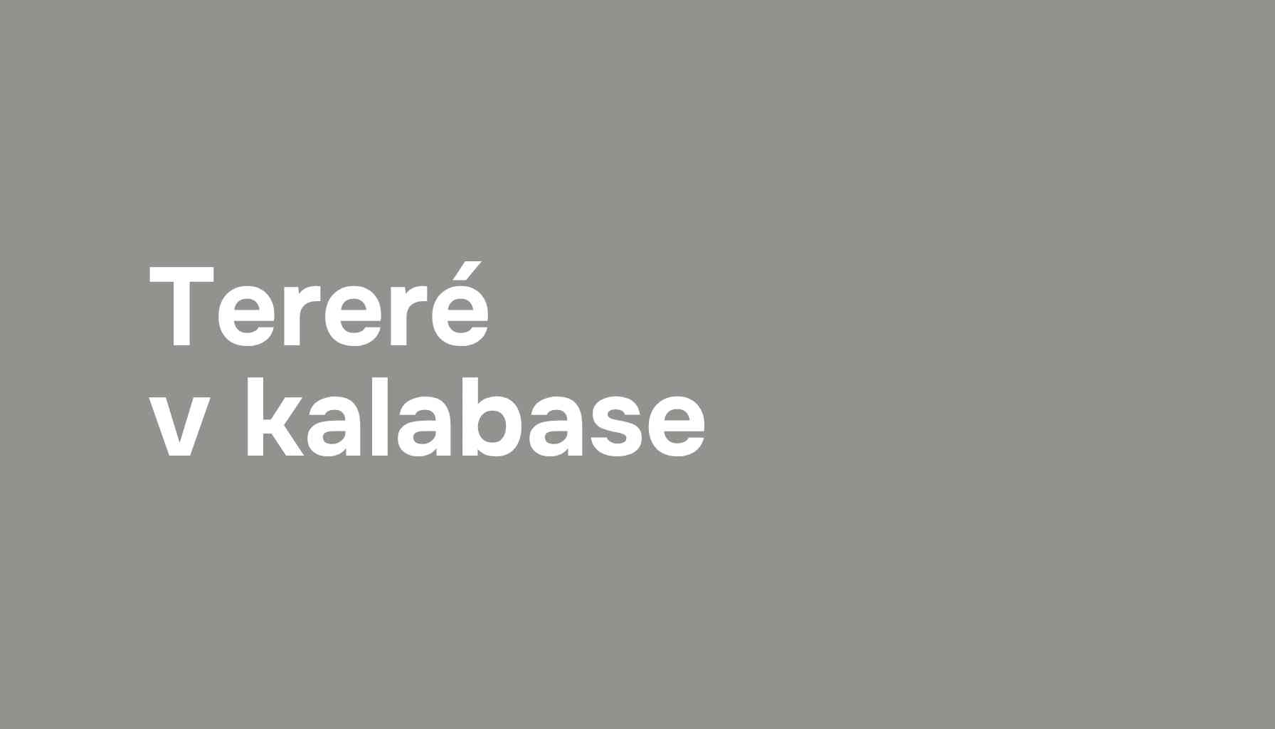 NÁVOD: Yerba maté na studeno (tereré) klasicky do sklenice či kalabasy