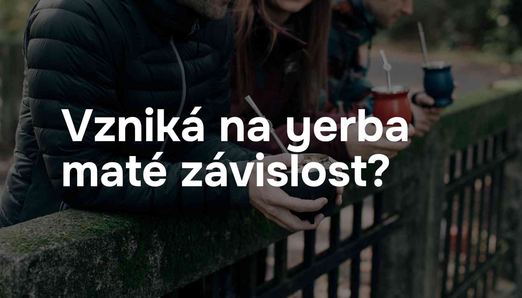 Vzniká na yerba maté závislost?