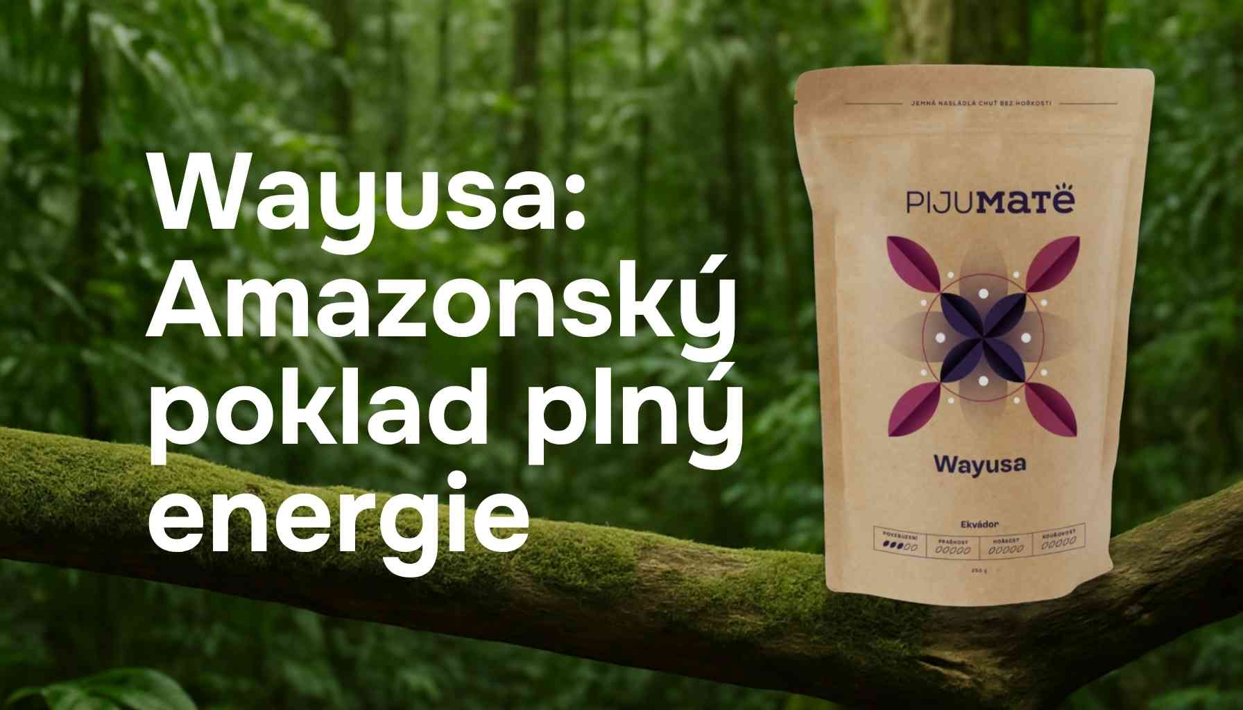 Wayusa: Amazonský poklad plný energie