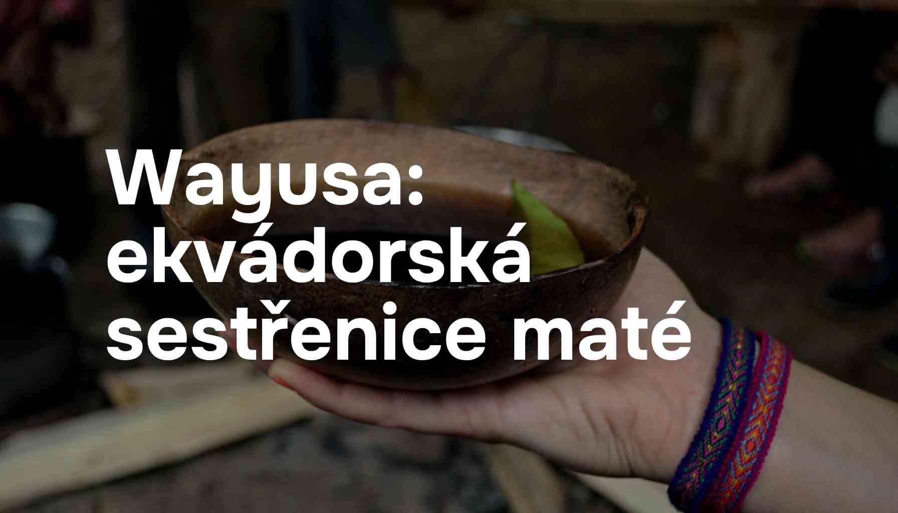 Wayusa - ekvádorská sestřenice yerba maté