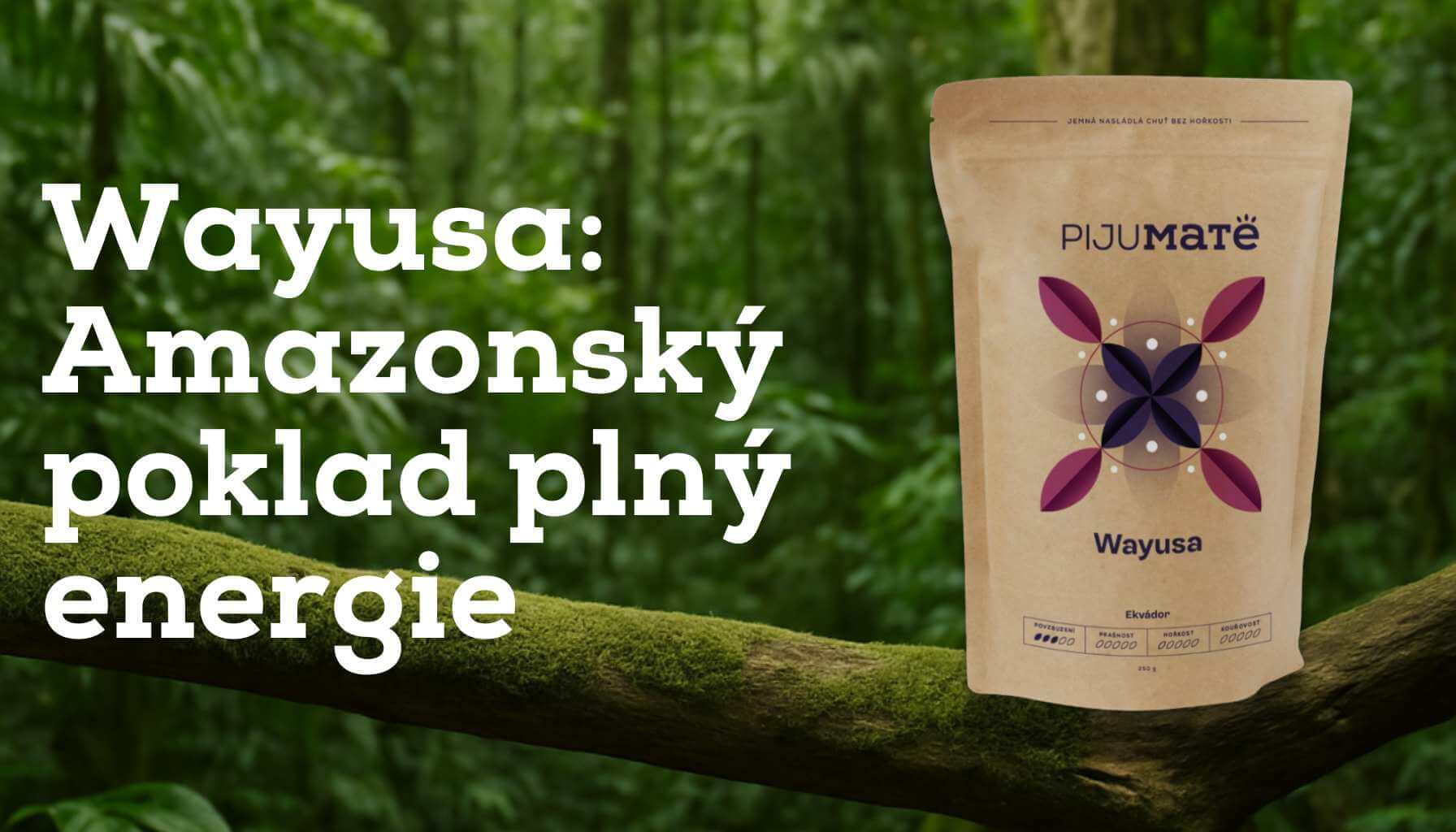 Wayusa: Amazonský poklad plný energie