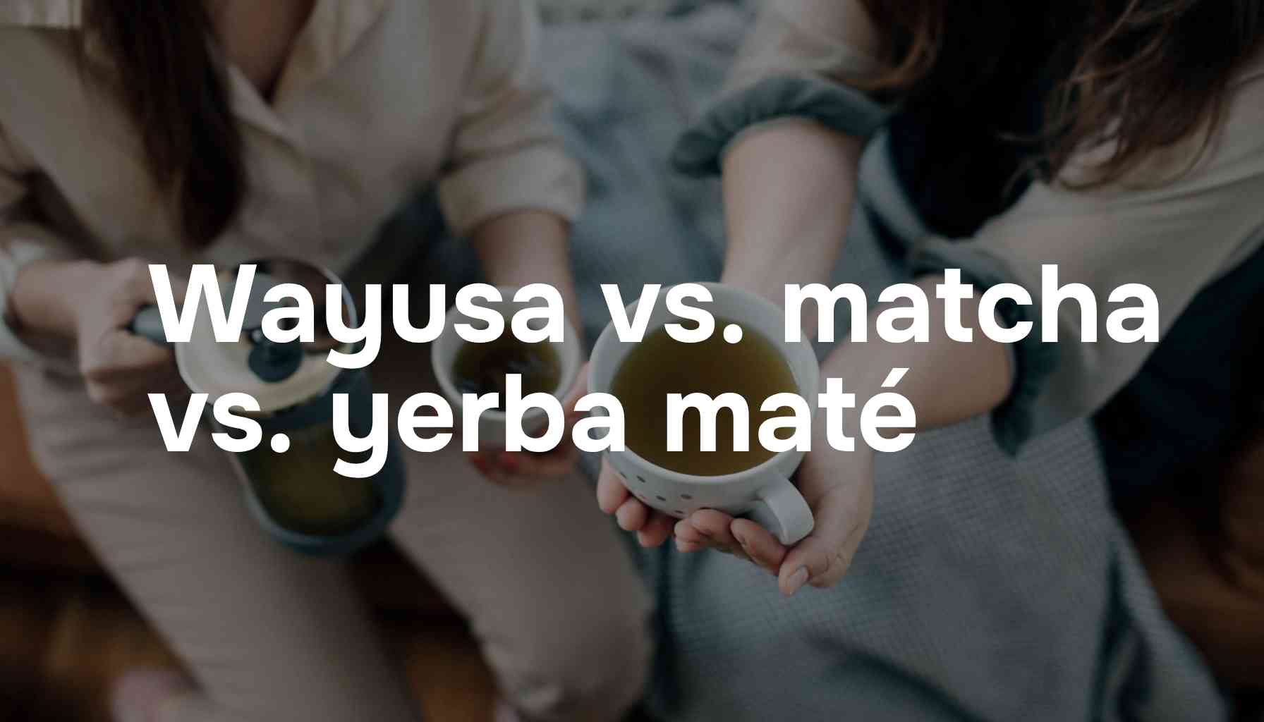 Wayusa vs. Matcha: Jak se liší tyto exotické nápoje? Jejich porovnání s yerba maté