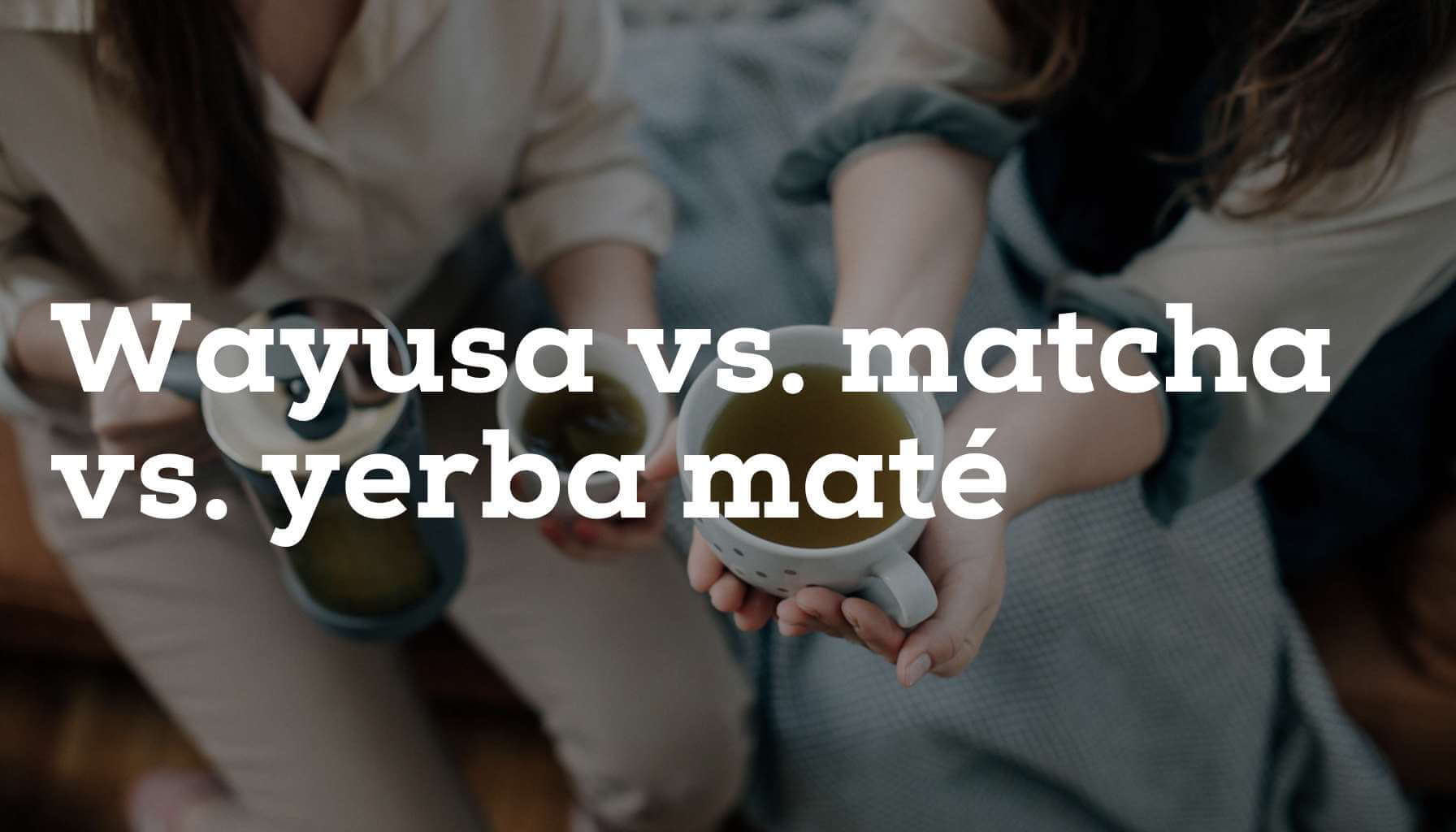 Wayusa vs. Matcha: Jak se liší tyto exotické nápoje? Jejich porovnání s yerba maté
