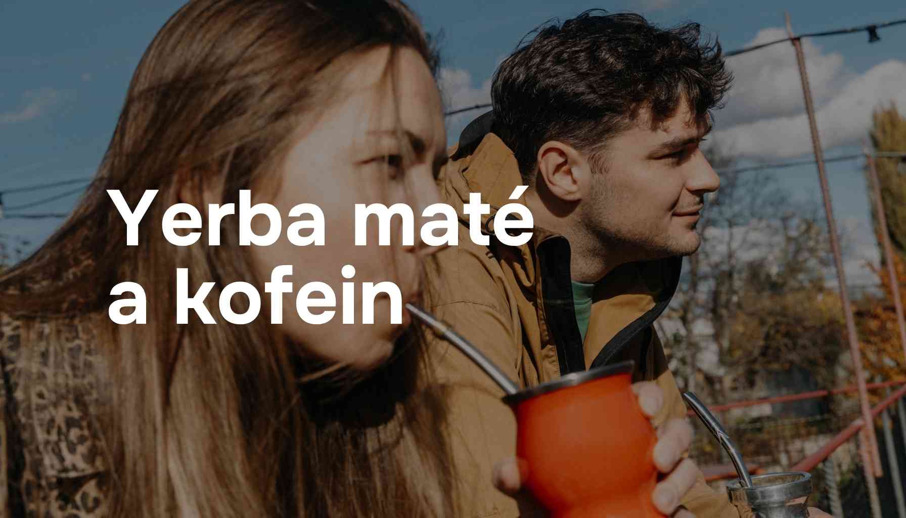 Yerba maté a kofein: Kolik ho obsahuje a jak je na tom ve srovnání s kávou