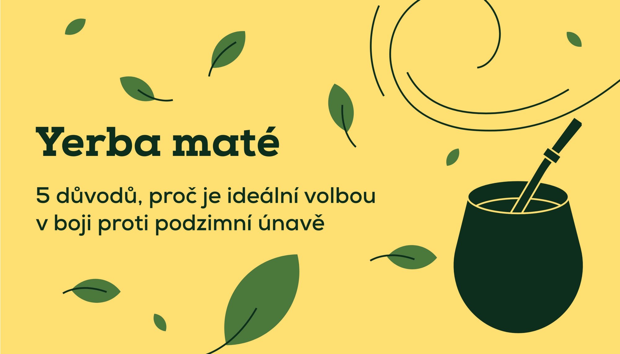 Podzimní únava? S yerba maté jí nedáte šanci