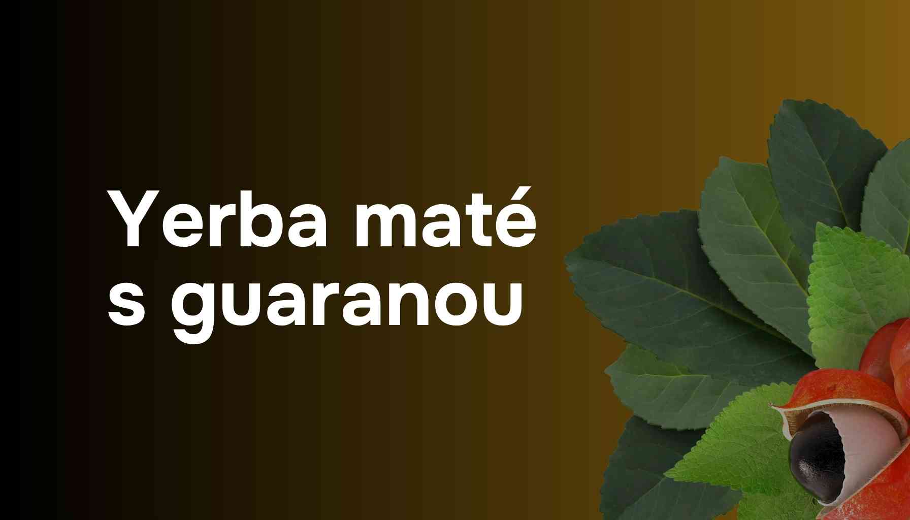 Yerba maté s guaranou. Kombinace, která vás zaručeně povzbudí