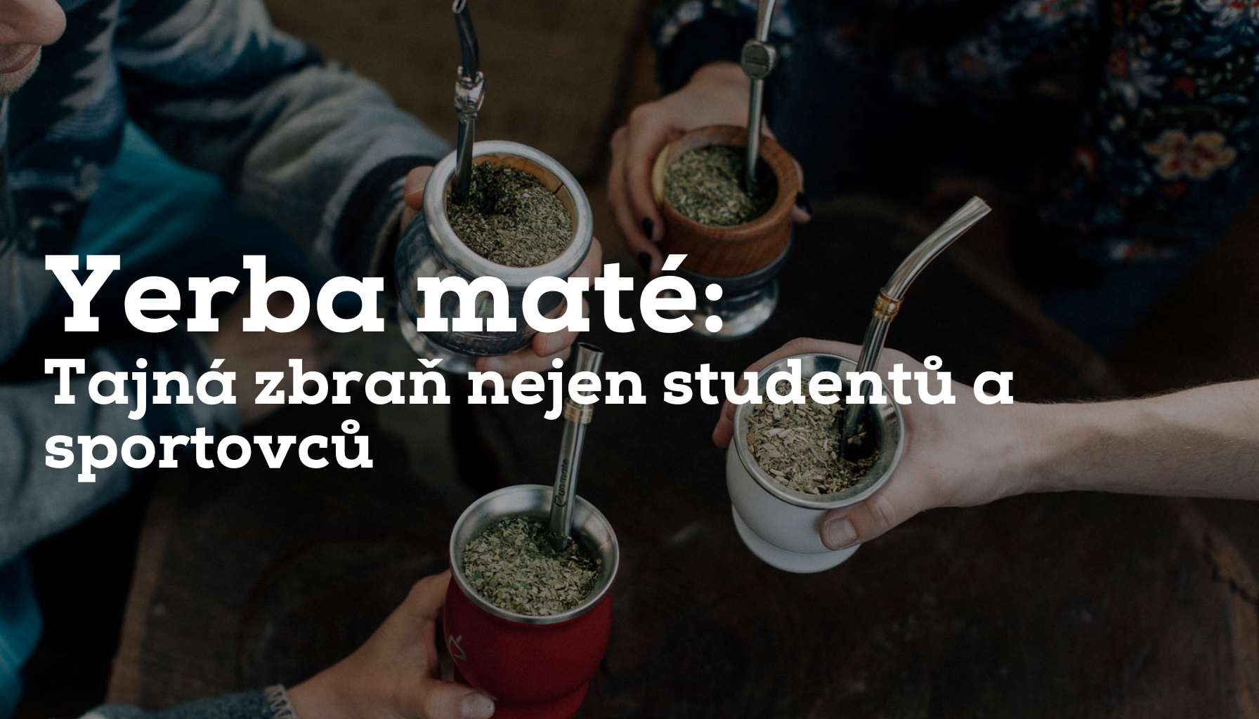 Yerba maté: Tajná zbraň nejen studentů a sportovců
