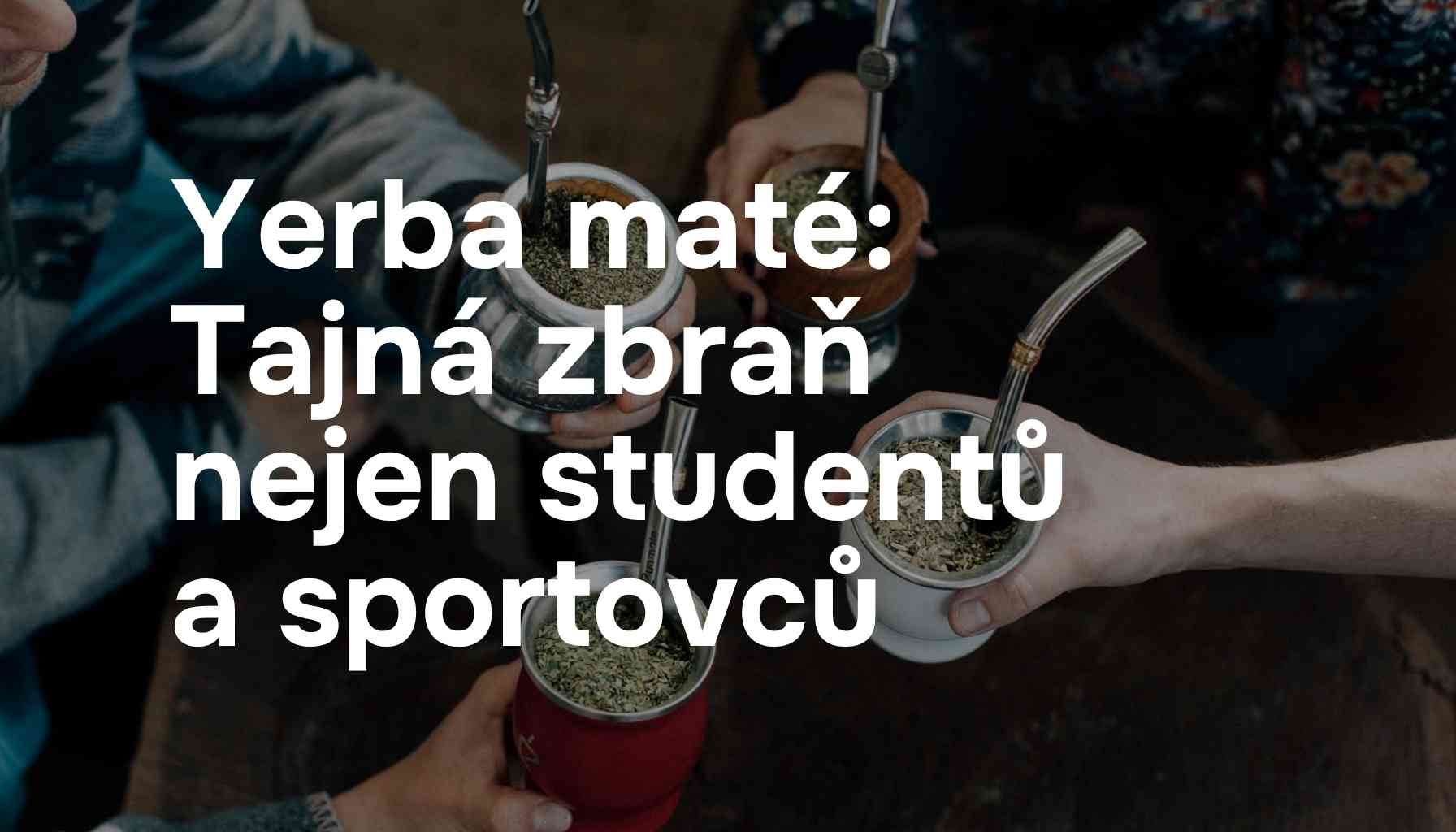 Yerba maté: Tajná zbraň nejen studentů a sportovců