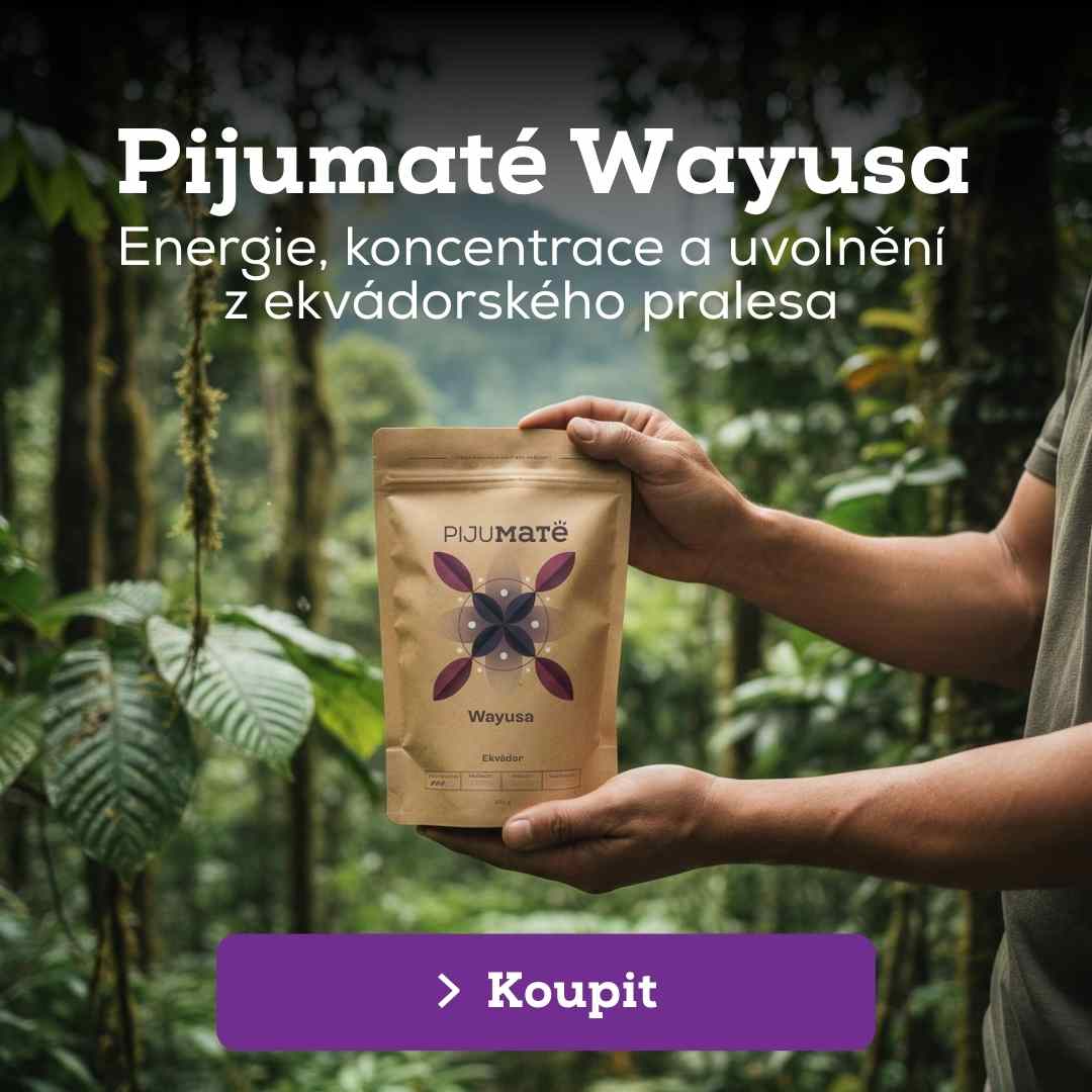 Pijumaté Wayusa