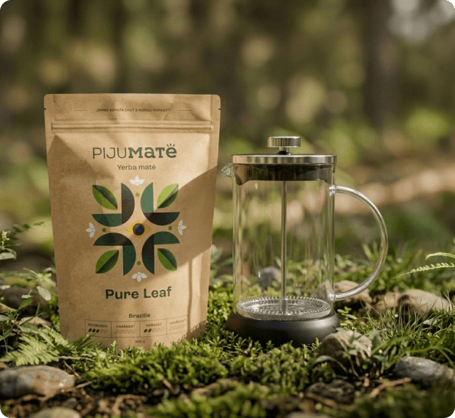 Příprava yerba maté