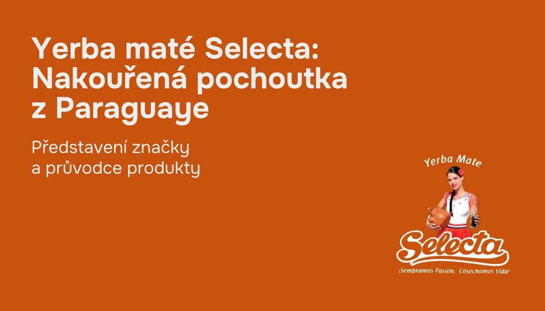 yerba-mate-selecta-clanek
