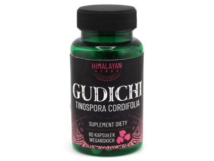 gudichi