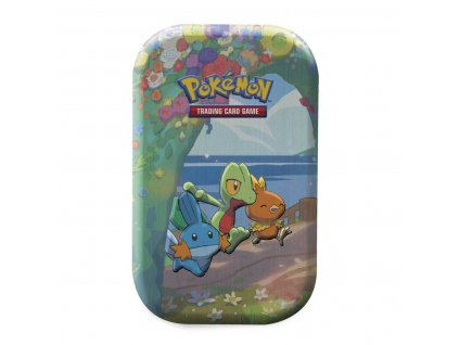 mini tin celebrations Treecko Torchic Mudkip 1