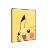 pikachu album 6
