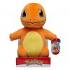 charmander 30