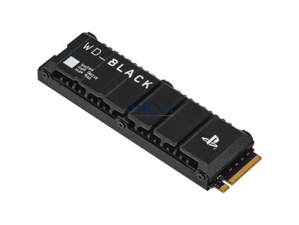 WD Black SN850P 1TB, WDBBYV0010BNC-WRSN