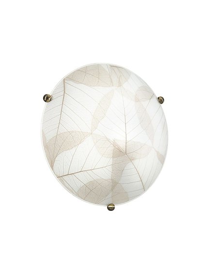 I eden PL40 001