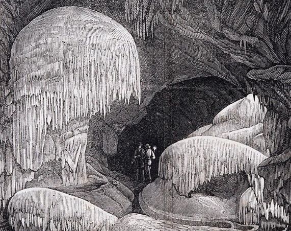 Jeskynní smuteční vrba