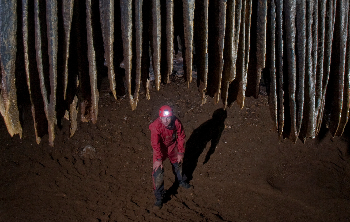 Obraz ze dvou obrazů