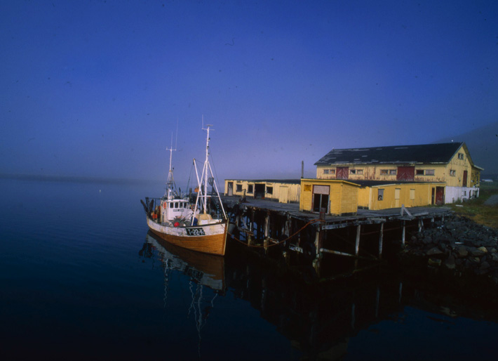 Lehká mlha na břehu moře