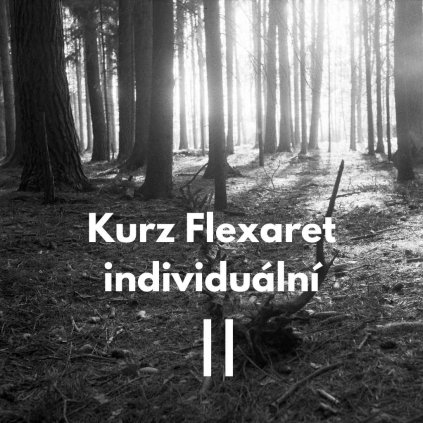 Kurz Flexaret základní 2
