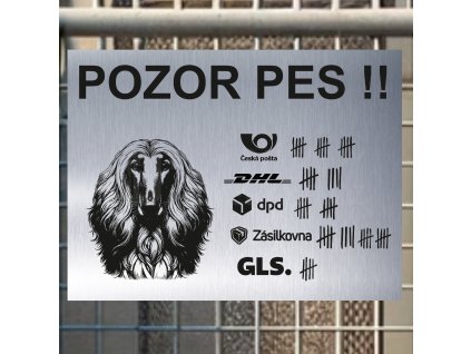 Pozor tady hlídám já - Afgánský chrt - pozor pes!!!