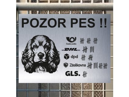 Pozor tady hlídám já - Americký kokršpaněl - pozor pes!!!