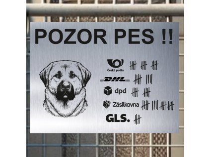 Pozor tady hlídám já - Anatolský pastevecký pes - pozor pes!!!