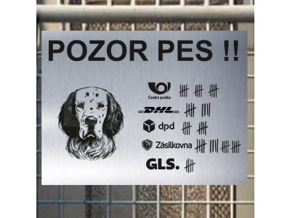 Pozor tady hlídám já - Anglický setr - pozor pes!!!