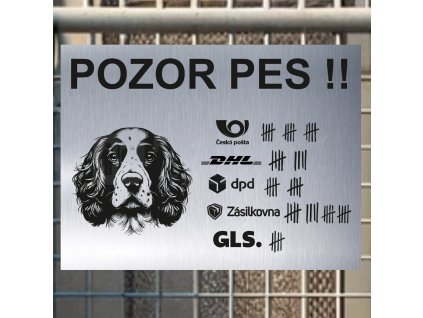 Pozor tady hlídám já - Anglický springršpaněl - pozor pes!!!