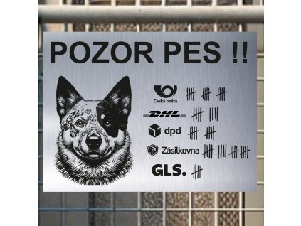 Pozor tady hlídám já - Australský honácký pes - pozor pes!!!