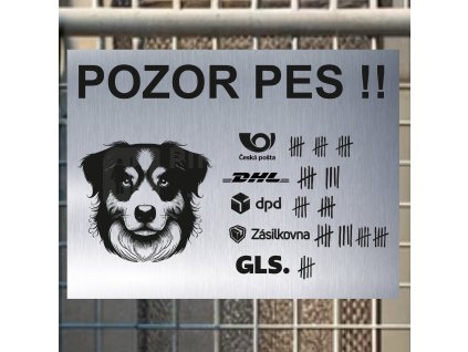 Pozor tady hlídám já - Australský ovčák - pozor pes!!!