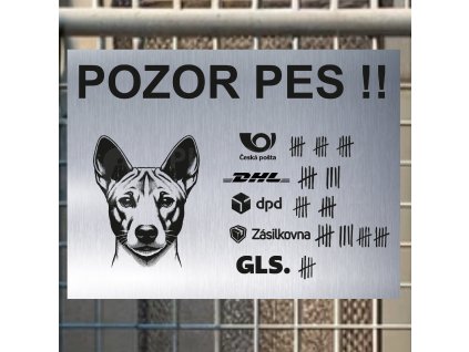 Pozor tady hlídám já - Basenji - pozor pes!!!
