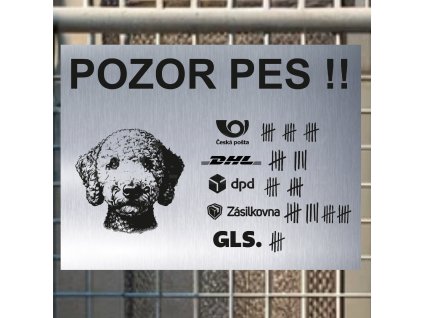 Pozor tady hlídám já - Bedlingtonský teriér - pozor pes!!!