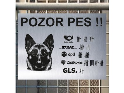 Pozor tady hlídám já - Belgický malinois - pozor pes!!!